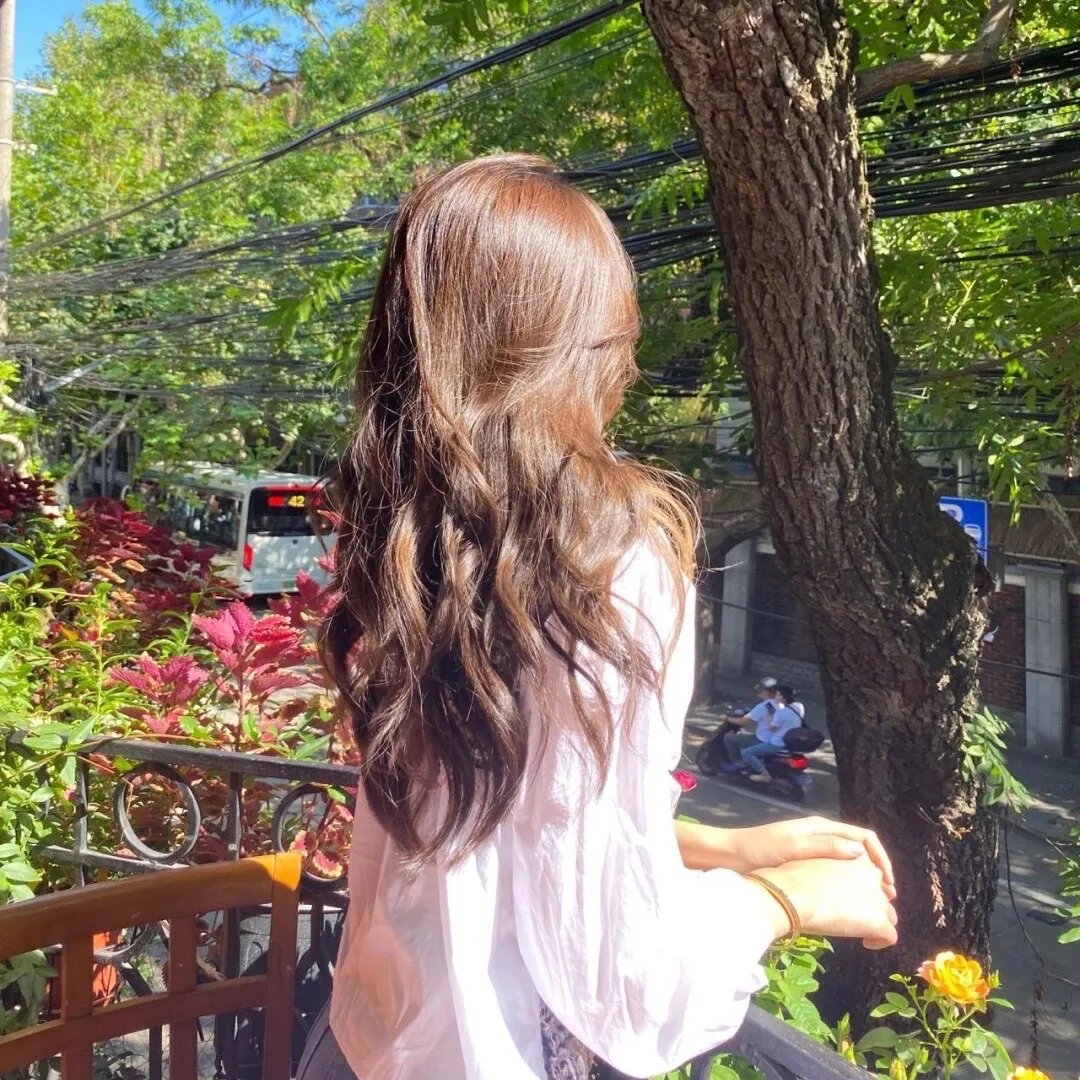 风吹半夏