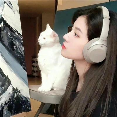 赘婿