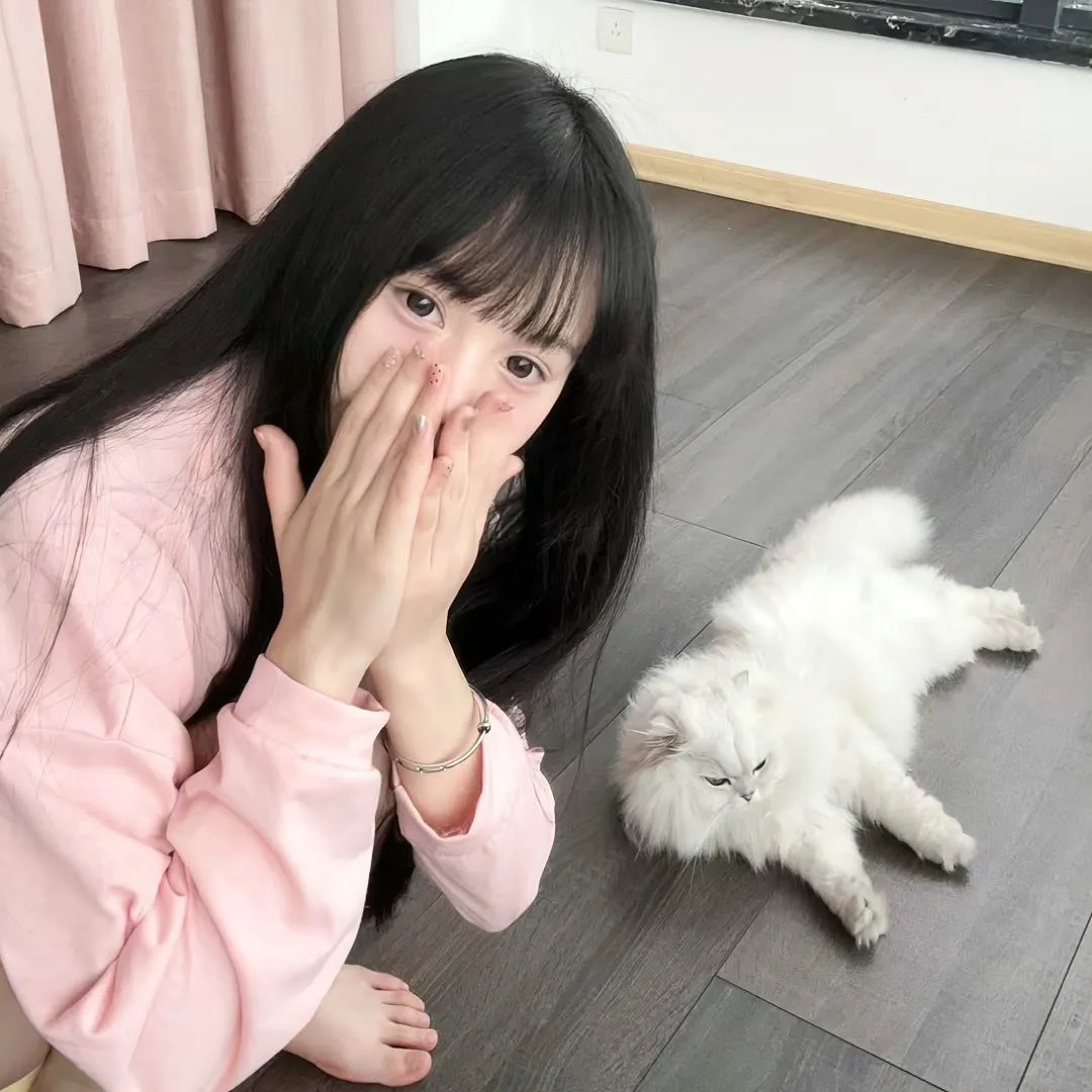司藤